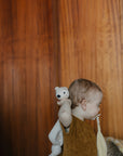 Teddy Tokki cream