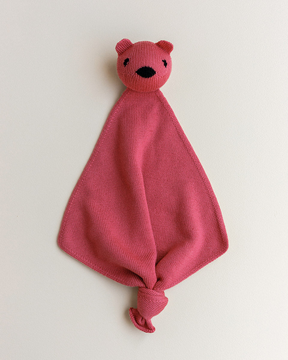 Teddy Tokki lollipop